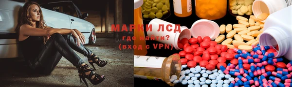 стаф Алзамай