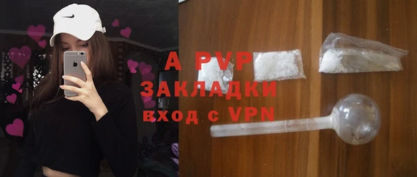 стаф Алзамай